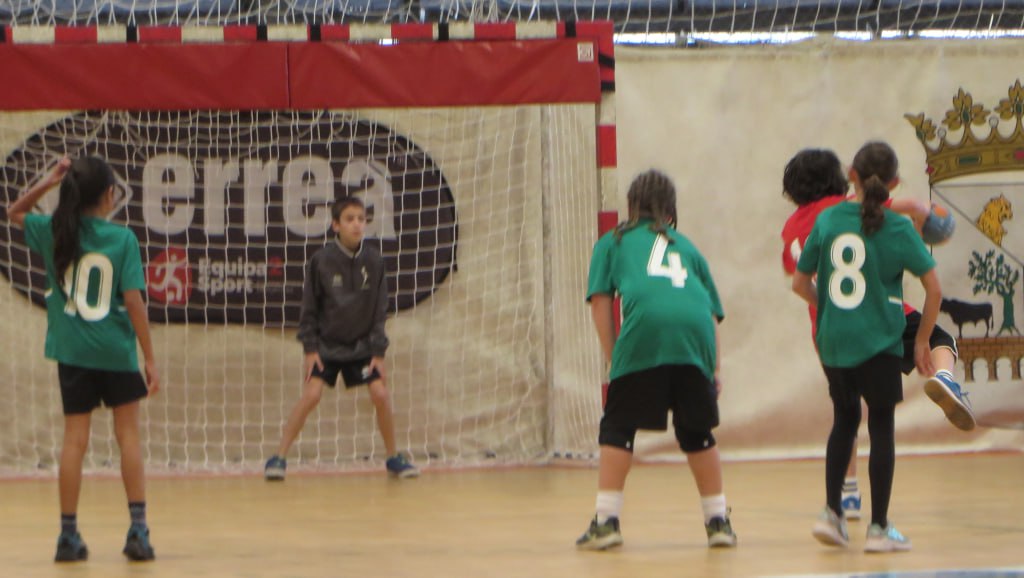 Delegación Provincial de Balonmano de Salamanca tweet media