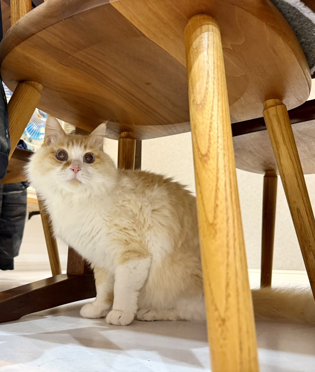 なみそ📕KEN/書籍重版！感謝📙 (@omochi_nam01) / Posts / X