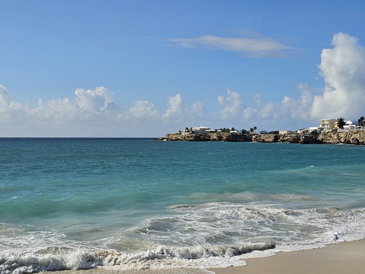 Dan Williamson tweet media