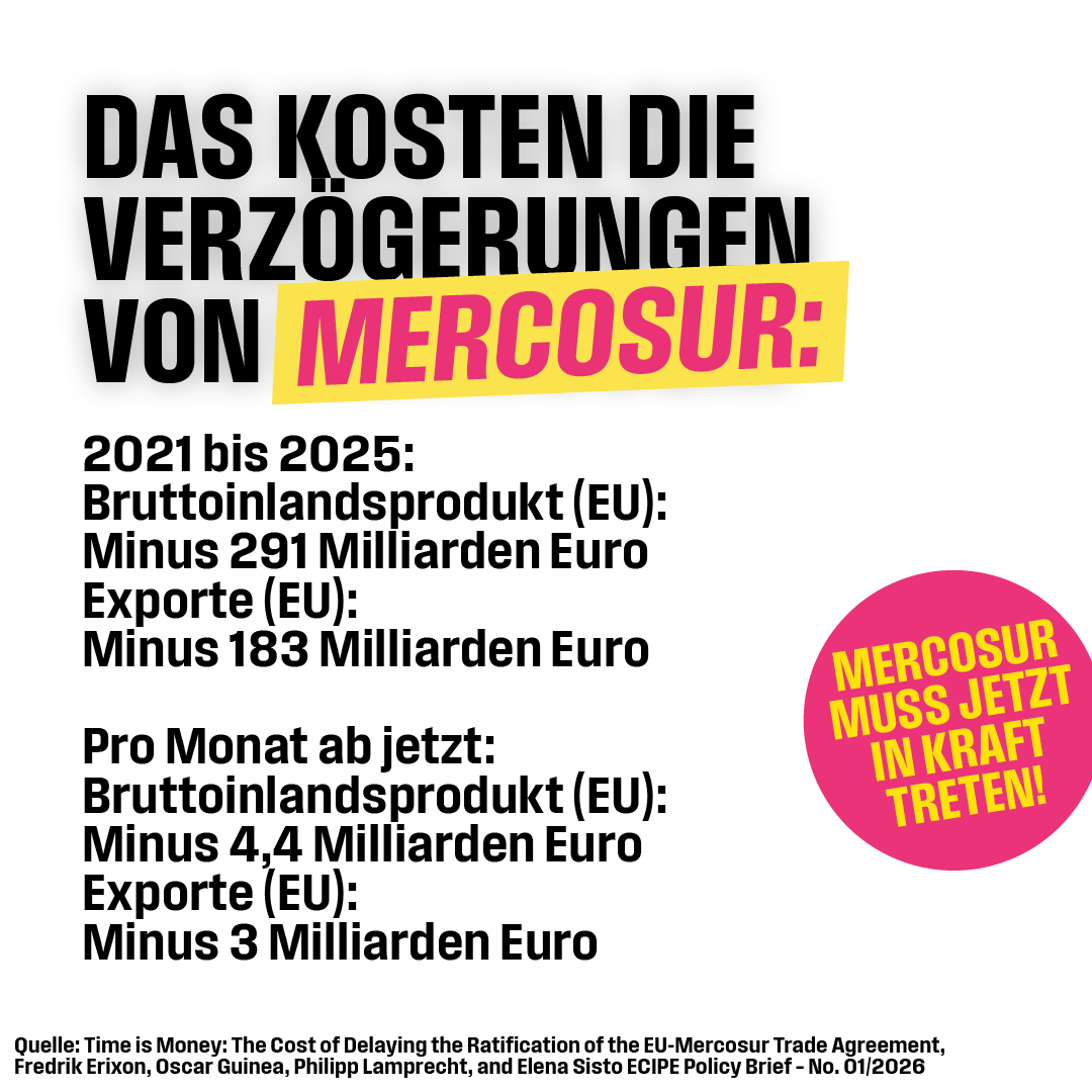 Über 25 Jahre wurde Mercosur verhandelt. Dennoch greifen <a href="/Die_Gruenen/">BÜNDNIS 90/DIE GRÜNEN</a>, AfD und Linke im Europäischen Parlament das Freihandelsabkommen an. Es muss vorläufig angewendet werden, um noch mehr wirtschaftlichen und geopolitischen Schaden abzuwenden! Jede Verzögerung kostet Milliarden.
