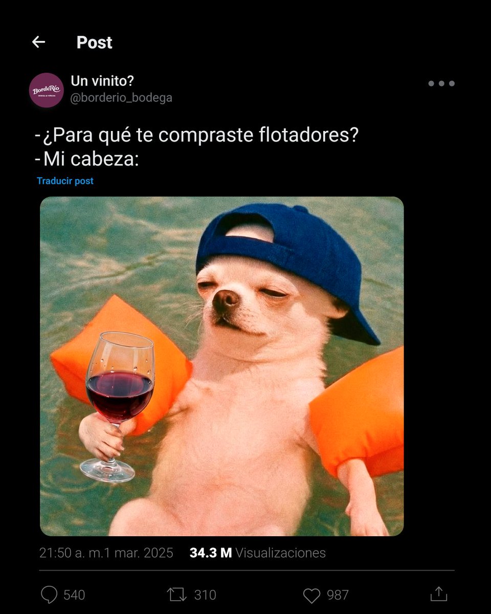 🍷🤣Hoy maridamos risas con vino.
Viernes con humor y buena onda.
Porque en BordeRío, el vino se toma en serio… pero no tanto 😜
🔗 Descubrí nuestras propuestas en borderio.com
Te esperamos para brindar juntos 🥂

#viñedo #bodega #borderio #enoturismo
