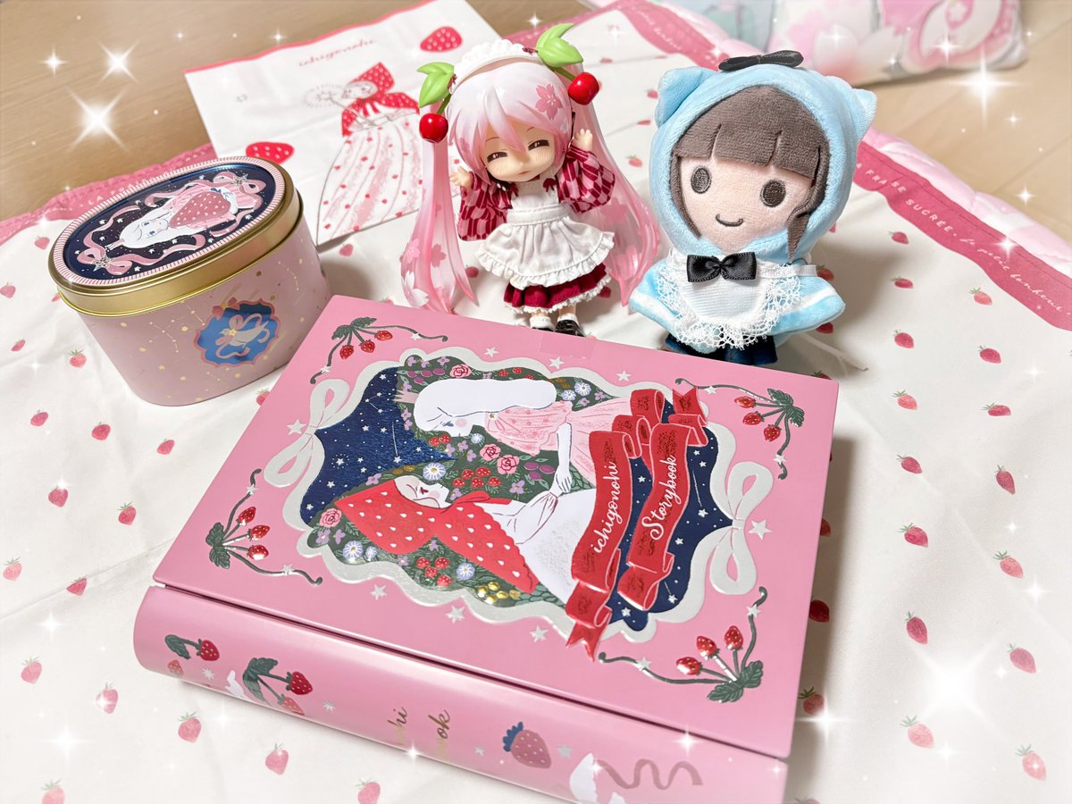 いちごの日シリーズ🍓⸝⸝꙳のバレンタイン♡ めちゃくちゃ可愛い 本型