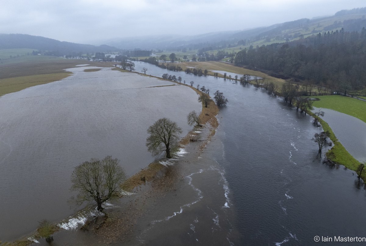 Iain Masterton tweet media