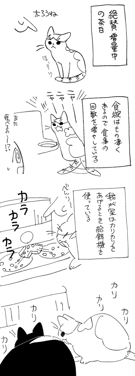 日記です 猫と飯 