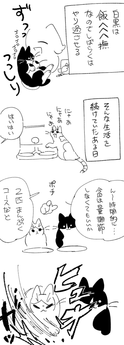 日記です 猫と飯 