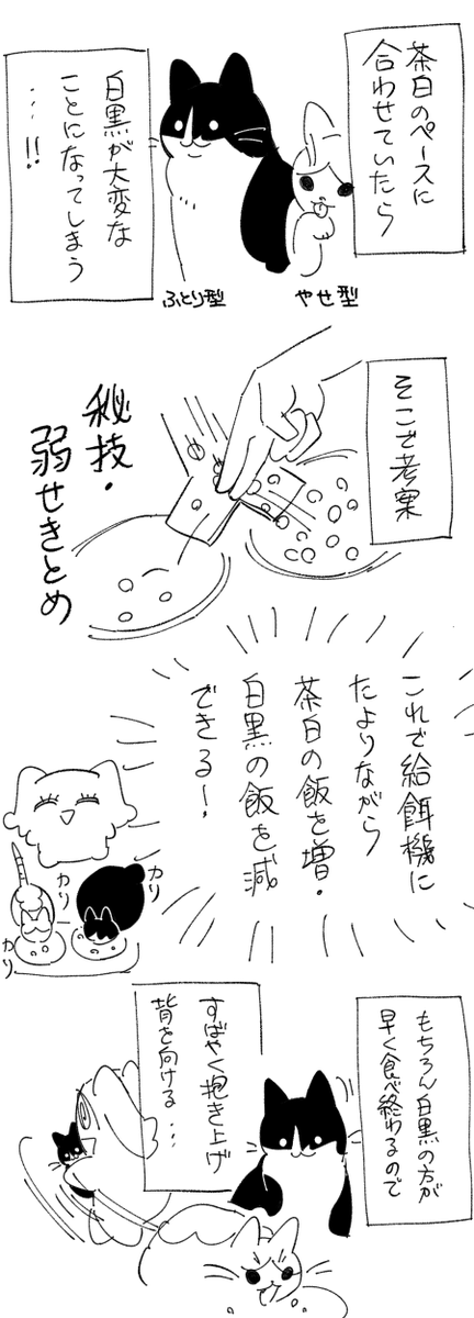 日記です 猫と飯 