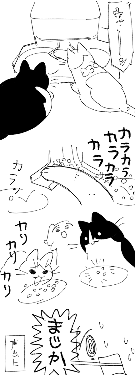 日記です 猫と飯 
