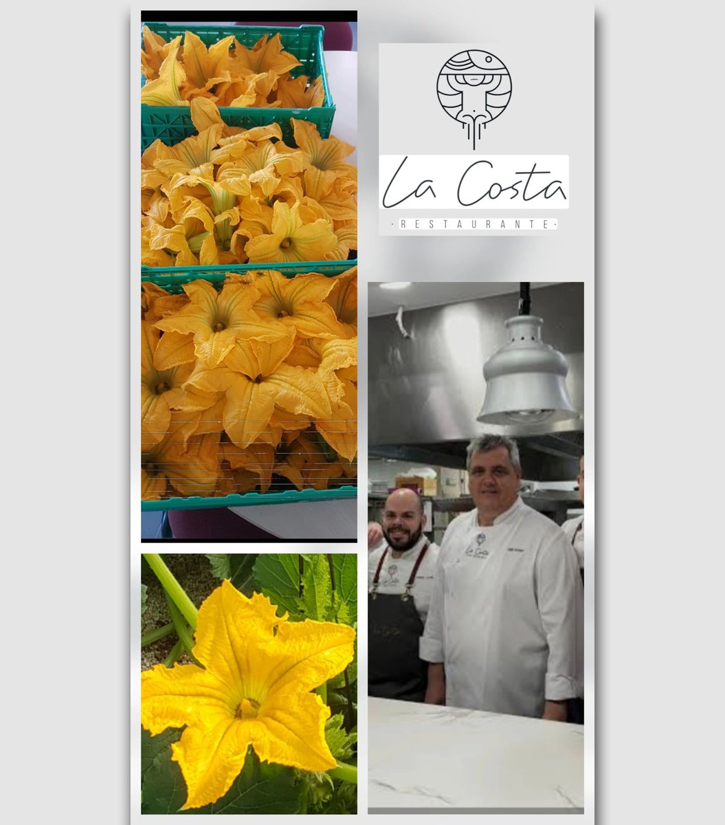 LqaOrganic's tweet photo. 🌼 Las flores de calabacín ecológico de LQA Thinking Organic estarán en @madridfusion de la mano del chef José Álvarez (@rest_lacosta, ⭐Michelin).

Producto local, sostenible y de temporada al servicio de la alta cocina.
🌱 Campo, mar y territorio en cada bocado.

#madridfusion https://t.co/QEMN15oNml