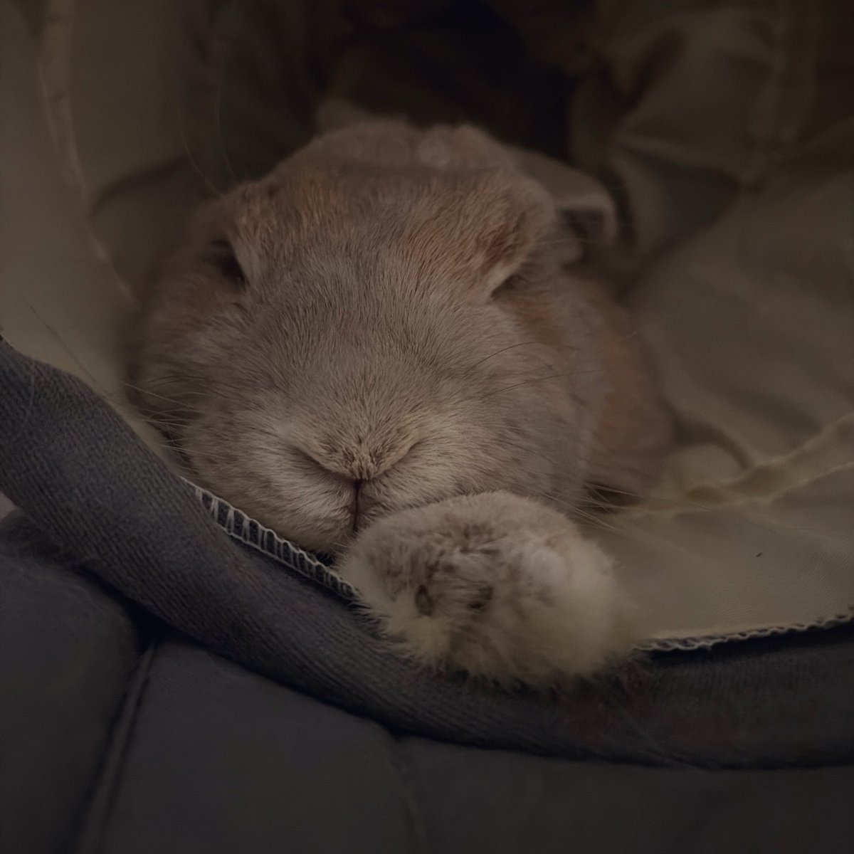 한 발만 쭉 내밀고 자는 잠버릇