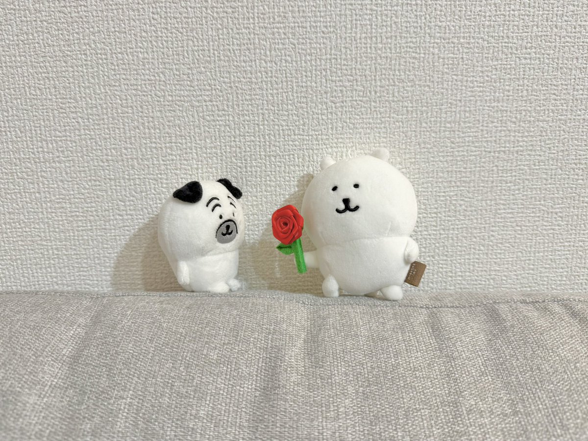 めっちゃ好きな1枚🥰