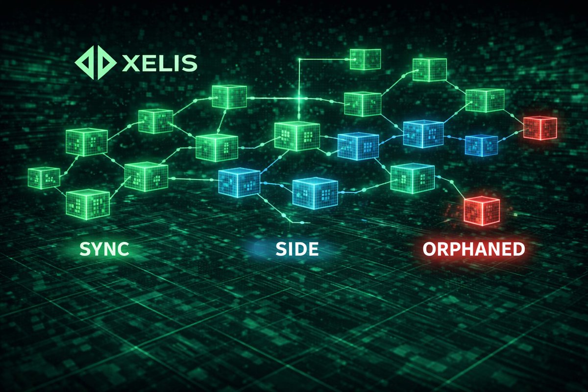 XELIS (@xelis_project) / Posts / X