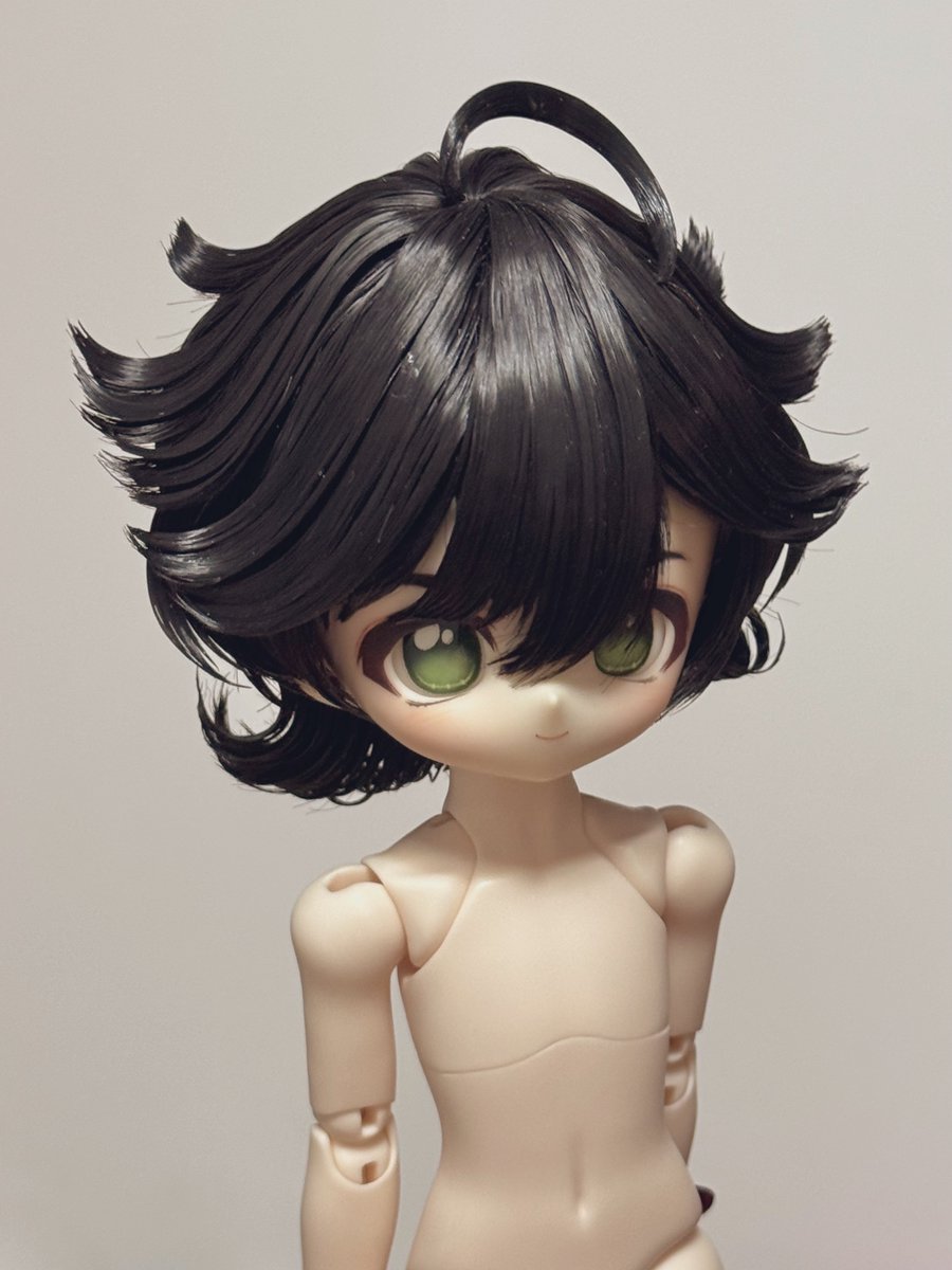 多分犬 tweet media