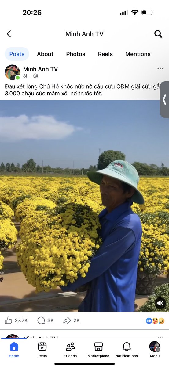 Trần Hạnh Thư | Estelle tweet media