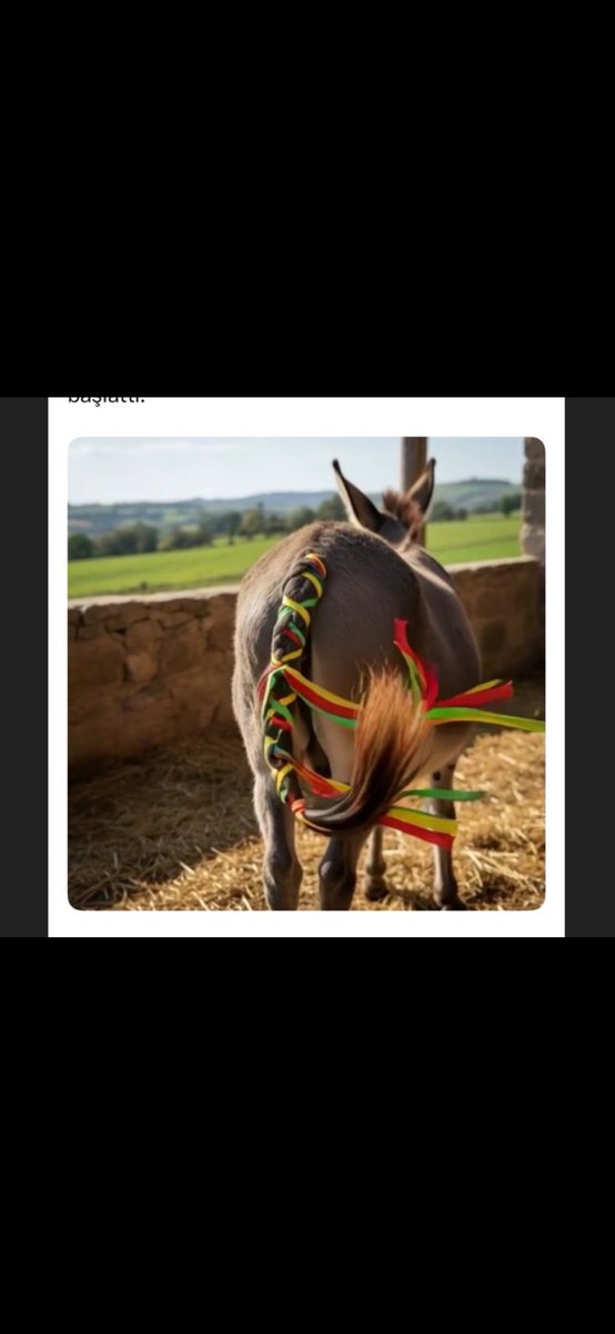 Yılmaz Erdoğan #örgü  nasıl eşeğin kuyruğu bu ülkeyi bölemeyeceksiniz vatanını bayrağını seven ülkenin bölünmez bütünlüğünü kabul eden herkes kardeştir aksi düşüncede olanlar kalleştir 🇹🇷🇹🇷🇹🇷🇹🇷🇹🇷🇹🇷🇹🇷🇹🇷🇹🇷🇹🇷🇹🇷🇹🇷🇹🇷🇹🇷🇹🇷🇹🇷🇹🇷🇹🇷🇹🇷🇹🇷🇹🇷🇹🇷🇹🇷🇹🇷🇹🇷🇹🇷🇹🇷🇹🇷🇹🇷🇹🇷