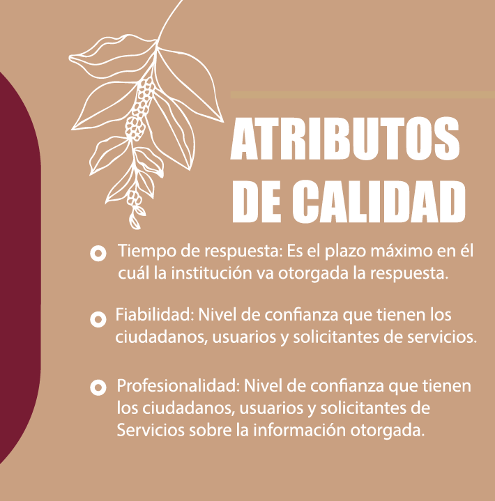 INDOCAFERD tweet media