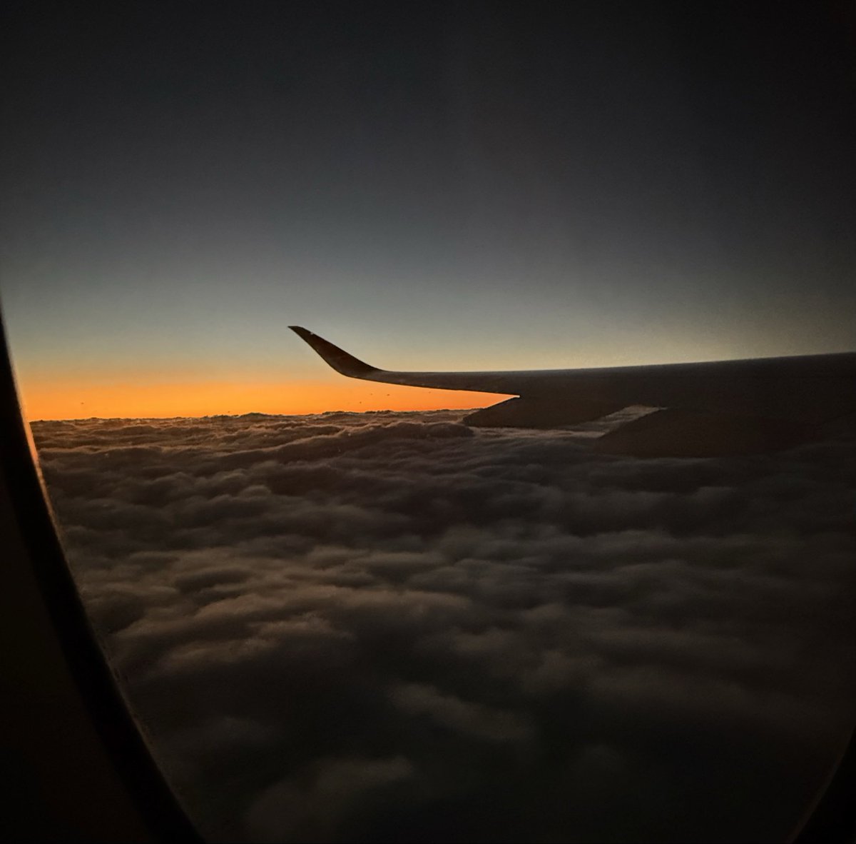 350のウィングレットとマッチしていてがちきれいでした