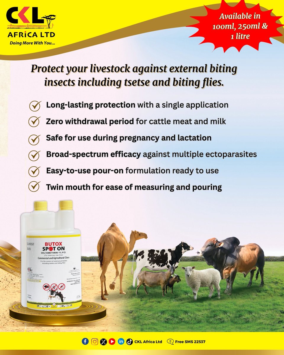 CKL Africa Ltd tweet media