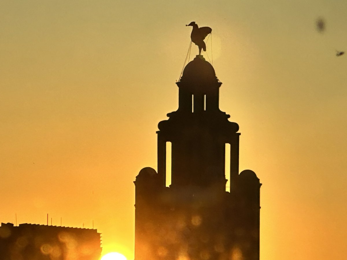 Trevor J Donovan (@trevorjdonovan1) on Twitter photo 