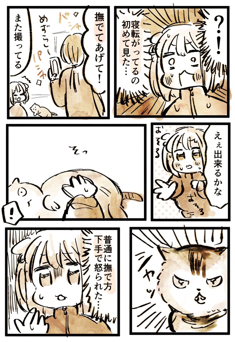 友人宅の猫日記(2/2) 