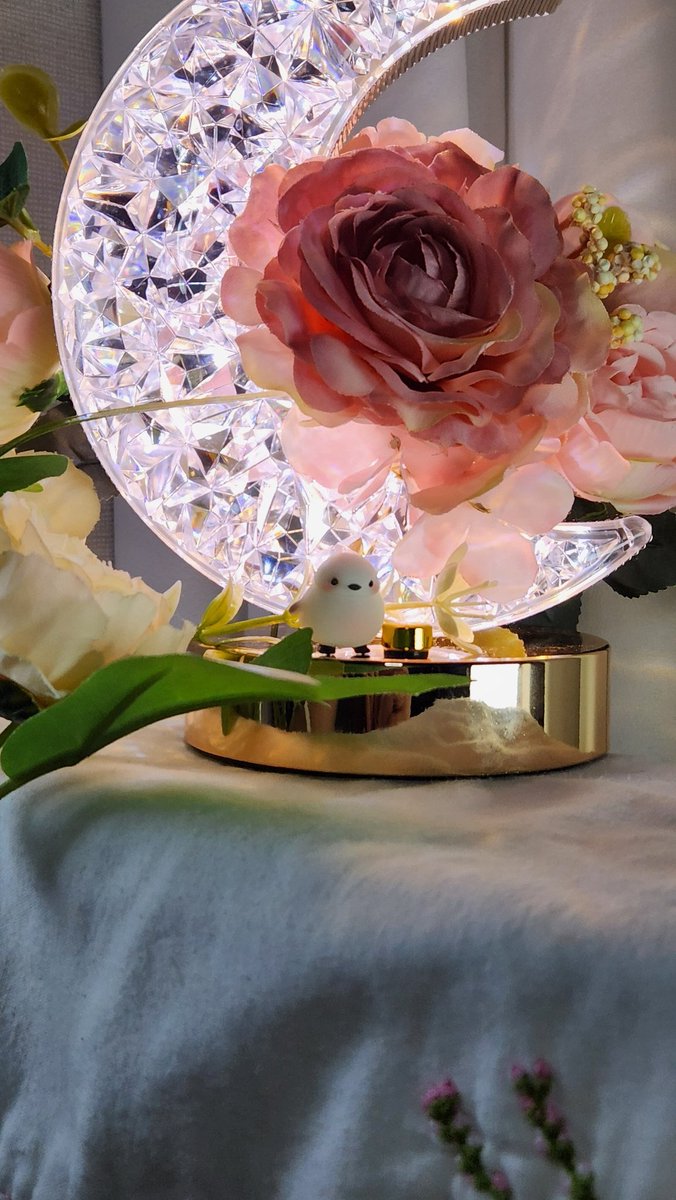 라즈 (@rabus_bera) on Twitter photo 