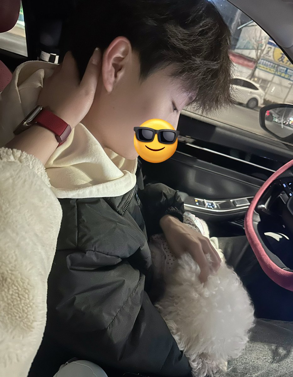 Limerance_131's tweet photo. 我的🐶和🐶的🐶 https://t.co/FOnS6MTj4d