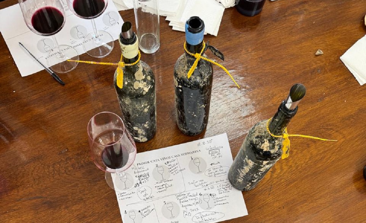 reporterdata's tweet image. Río Negro inauguró la cosecha submarina: se extrajeron los primeros vinos de la cava reporterpatagonia.com/rio-negro-inau…