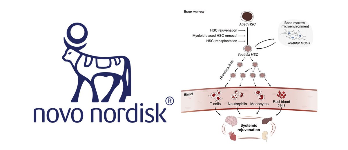 Jette Lengefeld tweet media