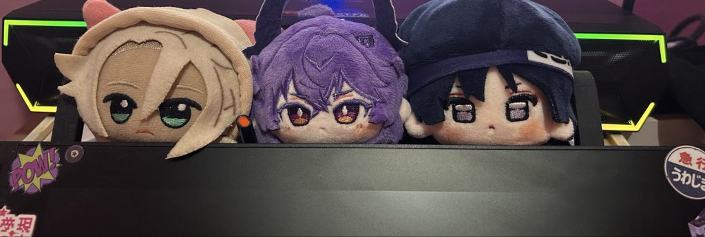 bugs when you lift up the rock