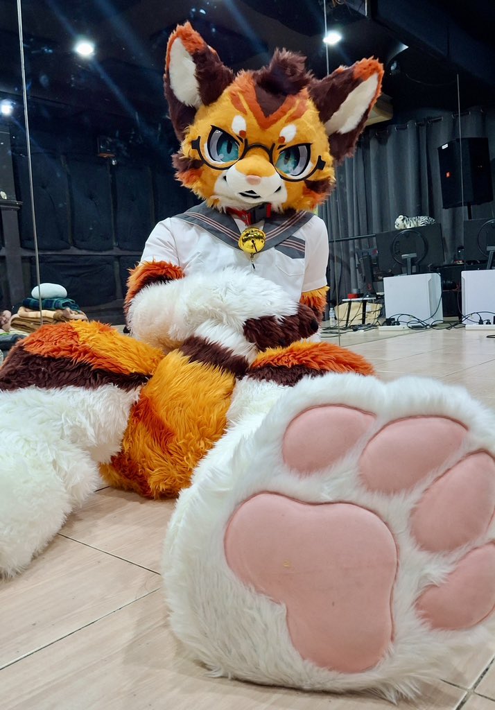 >:3 ,,

#FursuitFriday