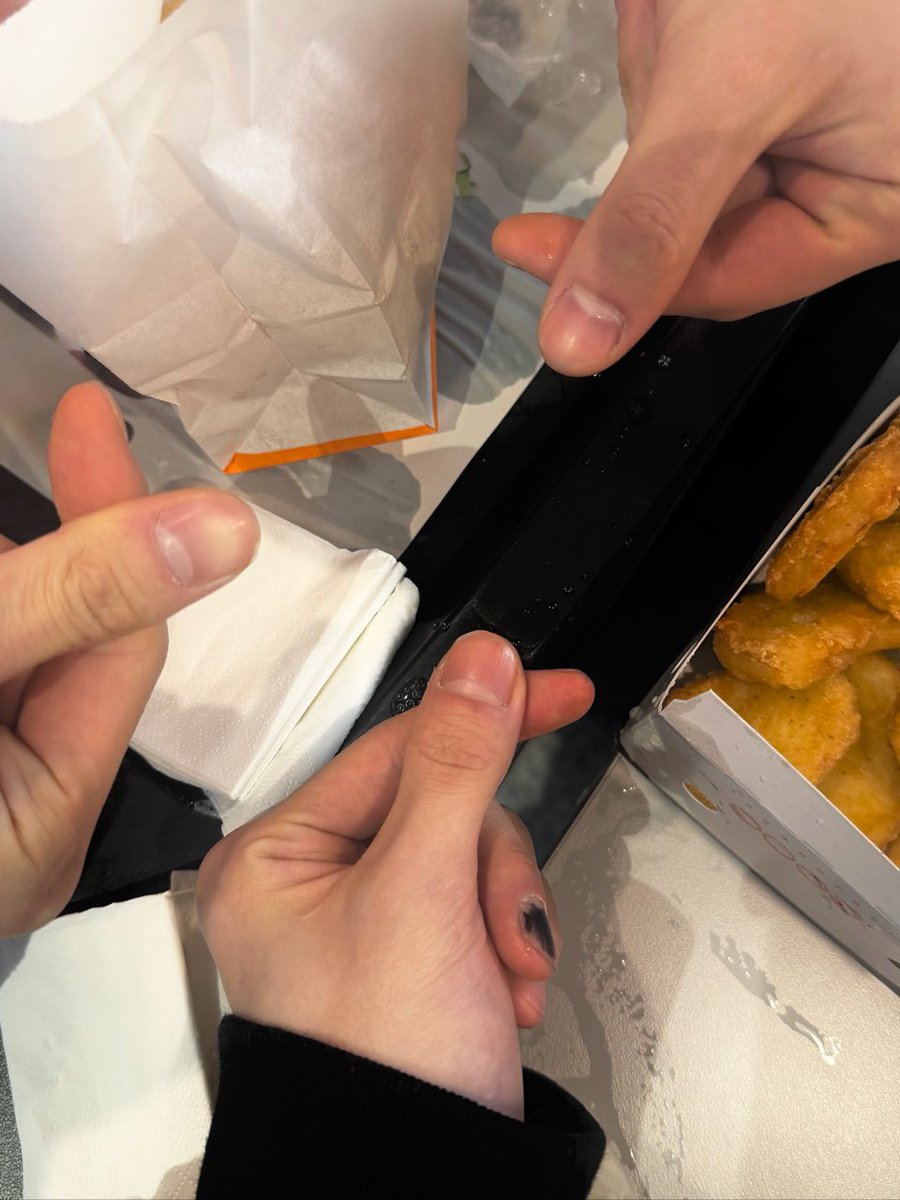 착둥이들아..🥹🥹