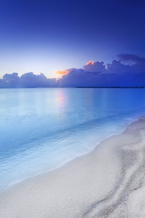 Blue Ocean (@blueocean3276) on Twitter photo 
