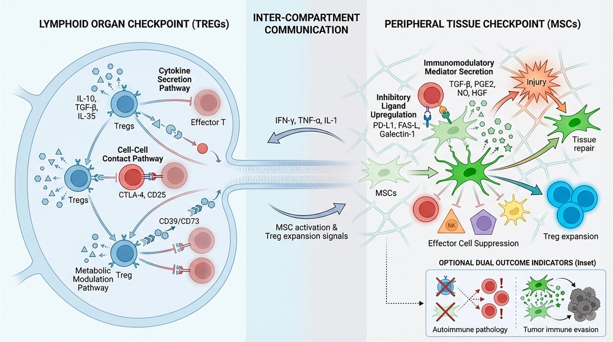 AdvClinExpMed tweet media