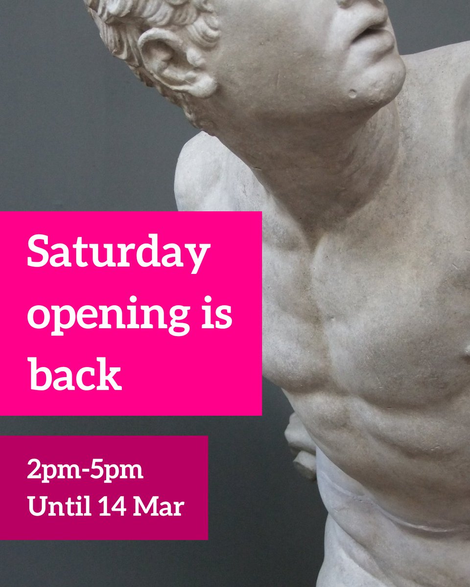 Museum of Classical Archaeology tweet media