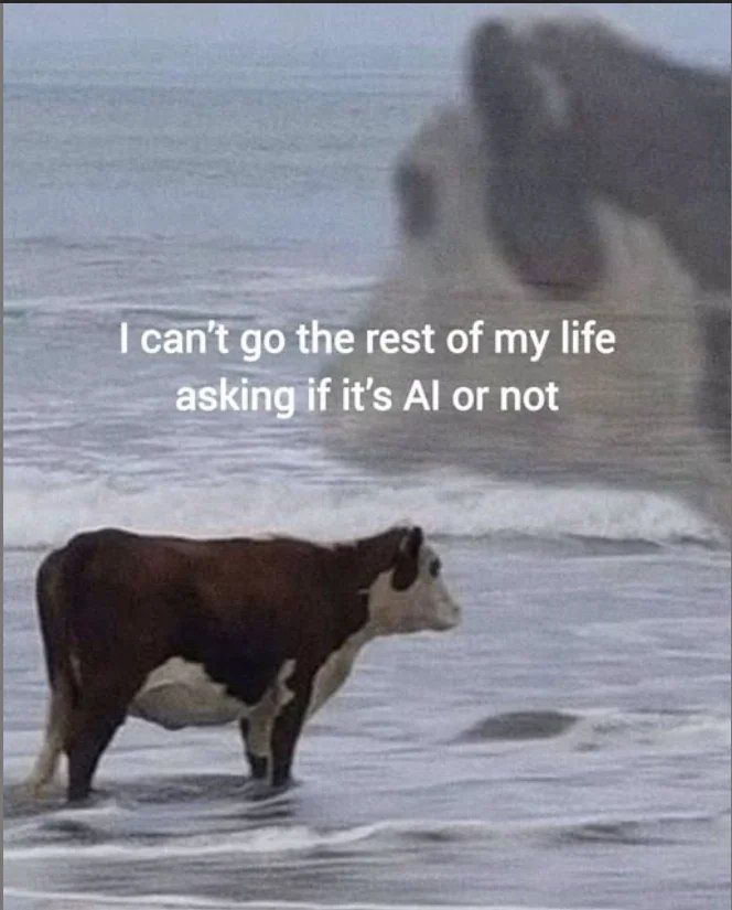 nocontextmemes's tweet image. 