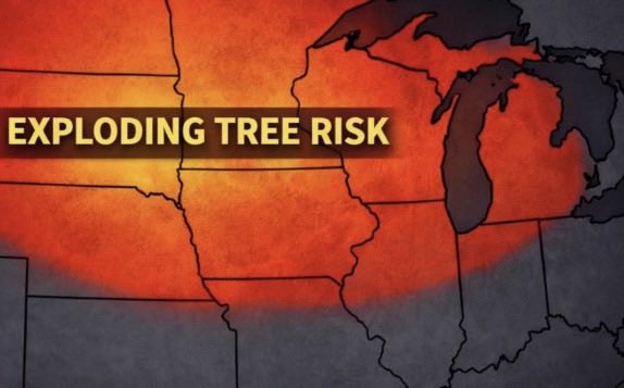 217Problems tweet media