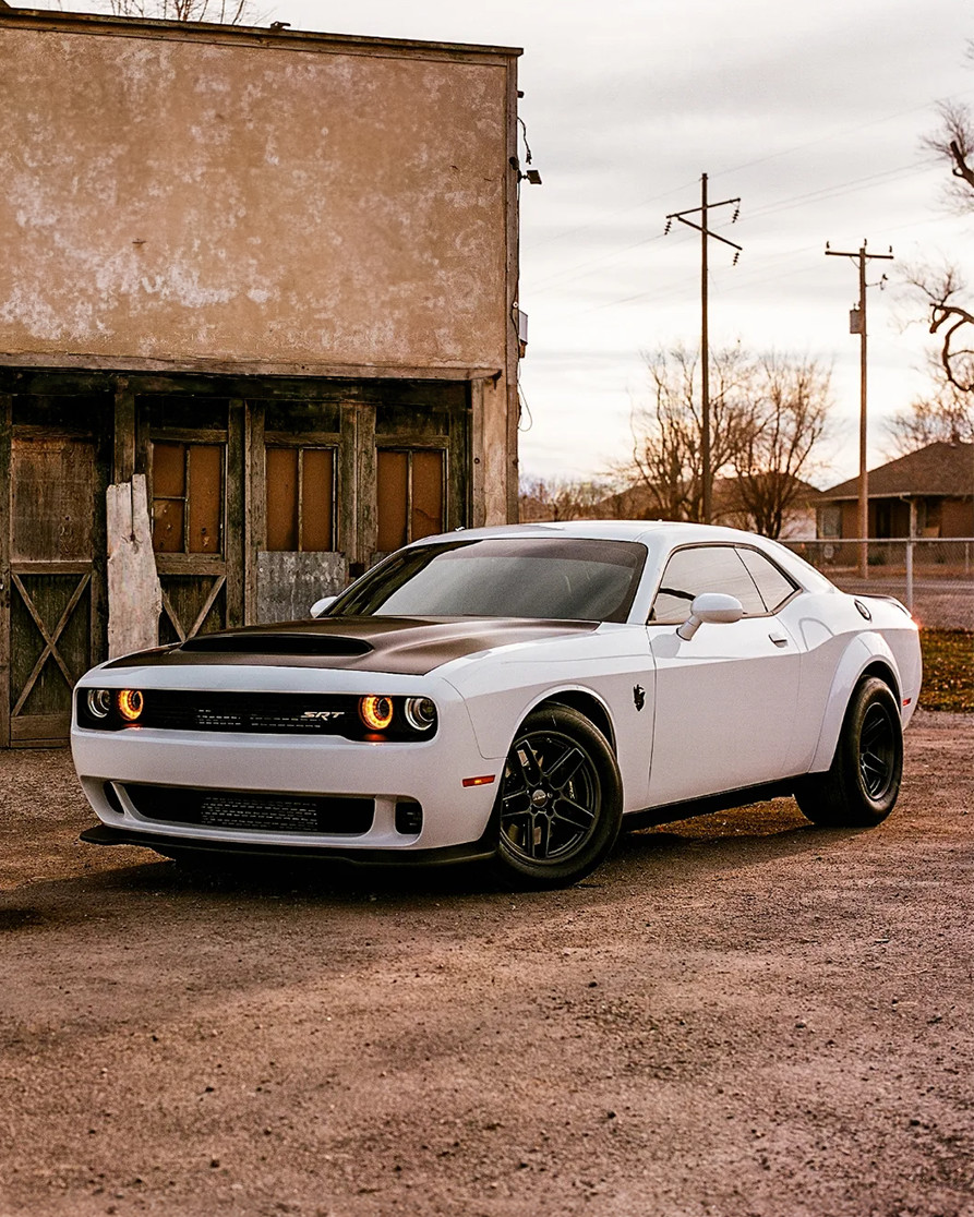 Bushman♡ tweet media