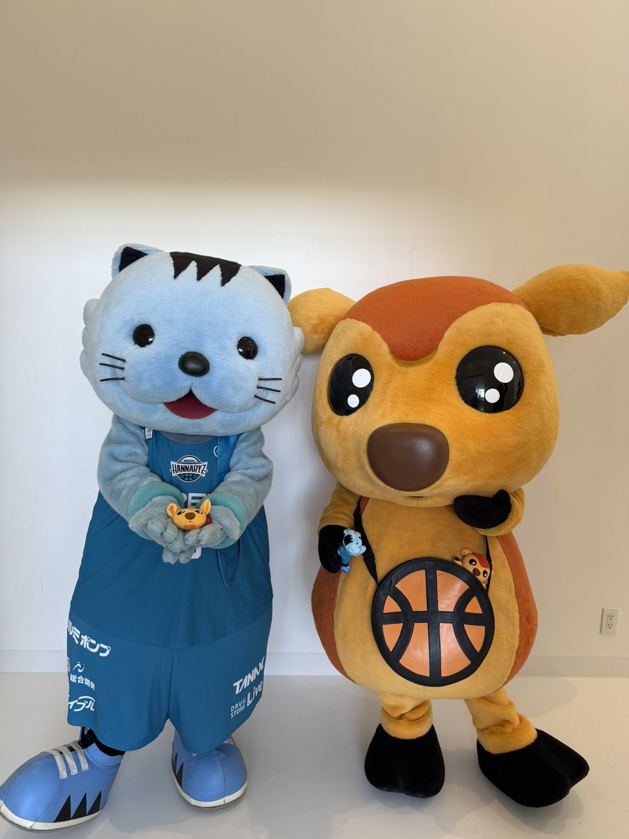 シューガバンニーリールマスコット あしたはシカッチェがホームゲームにあそびにきてくれるのです
