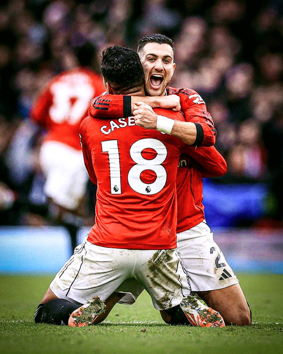 (fan) Frank 🧠🇾🇪 tweet media