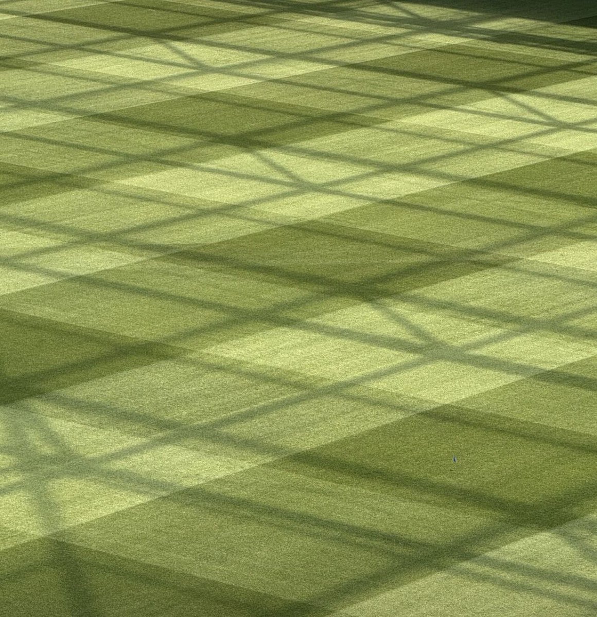 Hatkosport's tweet image. Only a few weeks after turf installation at New Zealand’s newest stadium, root systems are already extending to depths of 200–300 mm—a strong indicator of rapid establishment, durability, and long-term performance.🌱
#HATKOHybridgrass