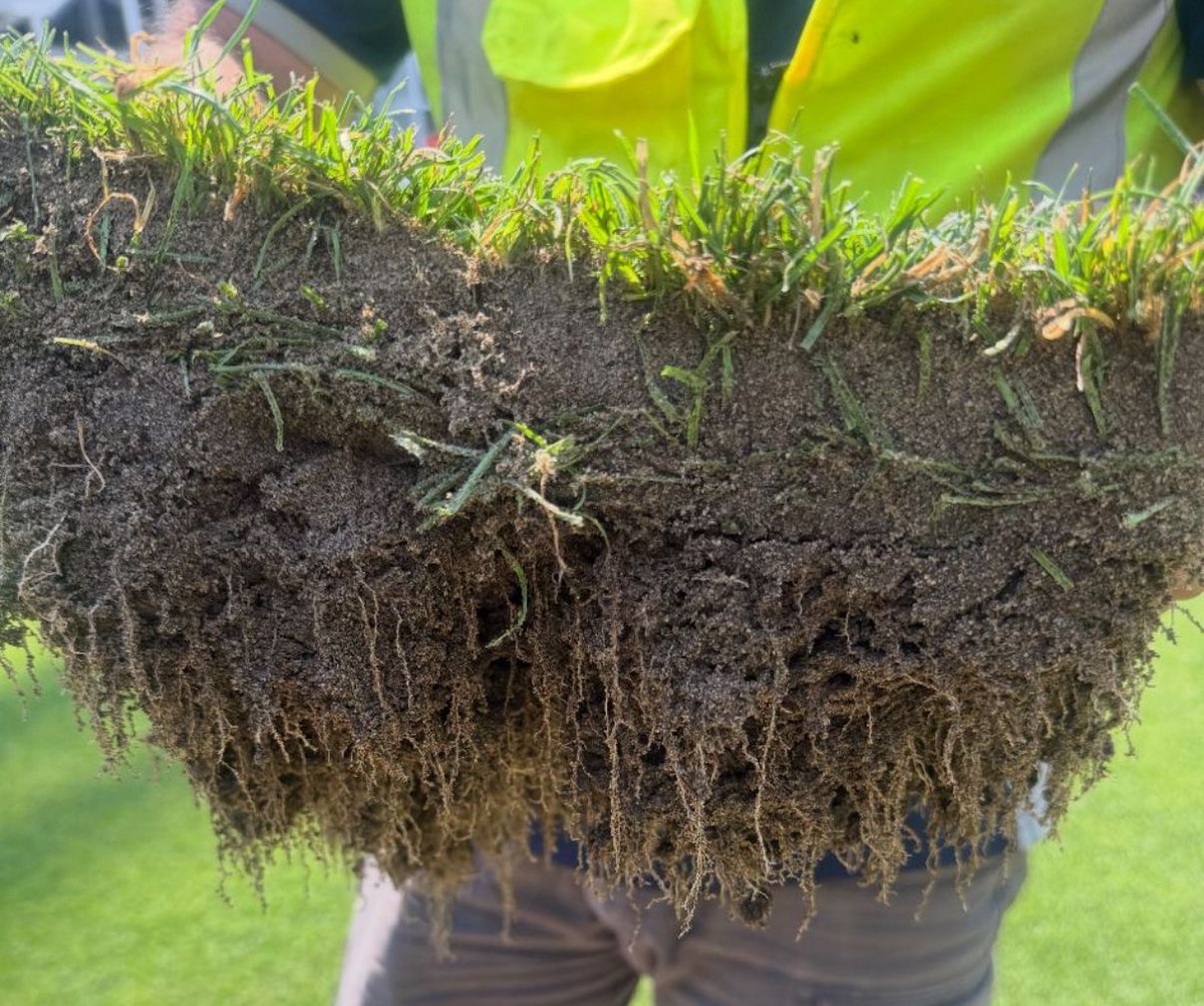 Hatkosport's tweet image. Only a few weeks after turf installation at New Zealand’s newest stadium, root systems are already extending to depths of 200–300 mm—a strong indicator of rapid establishment, durability, and long-term performance.🌱
#HATKOHybridgrass