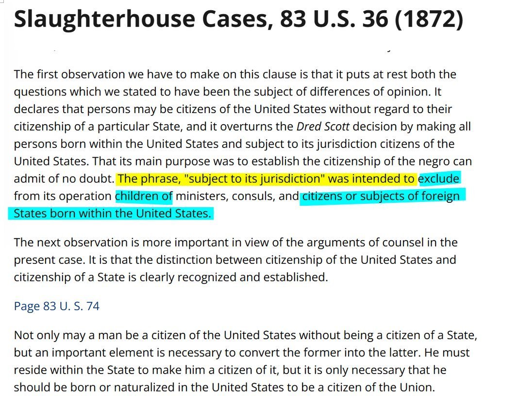 Nianello6 tweet media