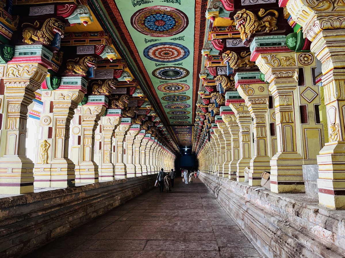 dazzBuilds's tweet image. Reply with a picture in your gallery clicked by you that you like….down 👇