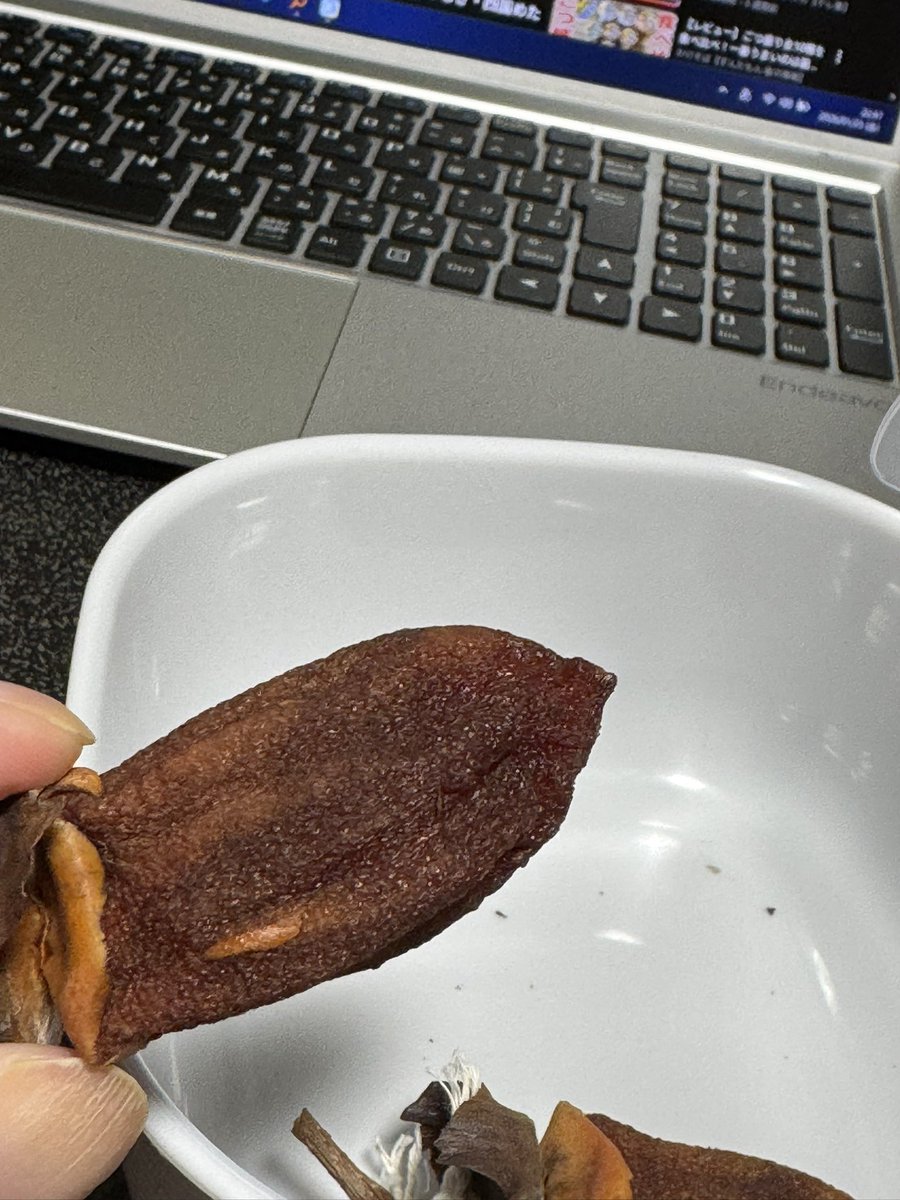 ゆめ ゆめ (@yumesora1127) on X