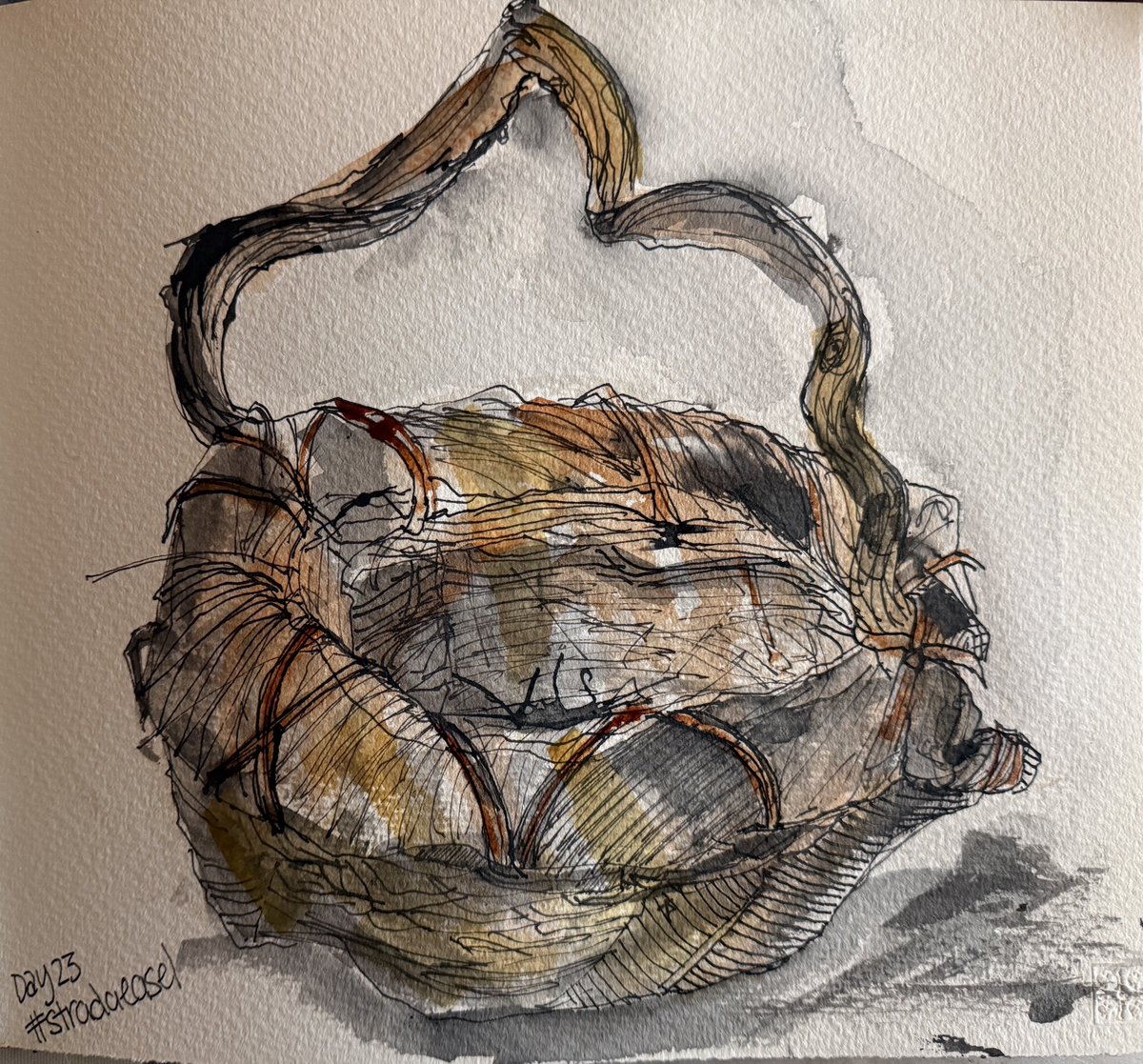staithesartist's tweet photo. Day 23 #stradaeasel #stradaeaselchallenge2026 The old basket #ink #watercolour https://t.co/J7gSasiJCn