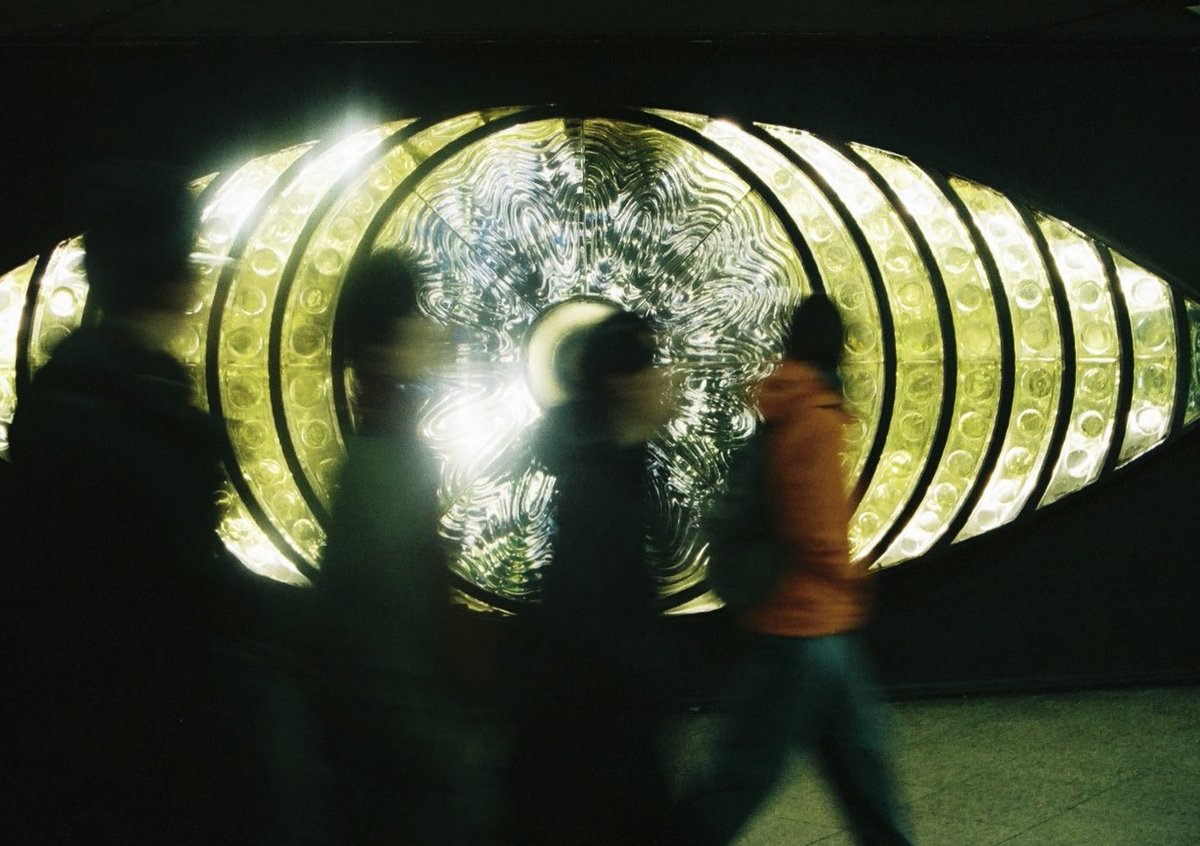 shachi_hata03's tweet image. 