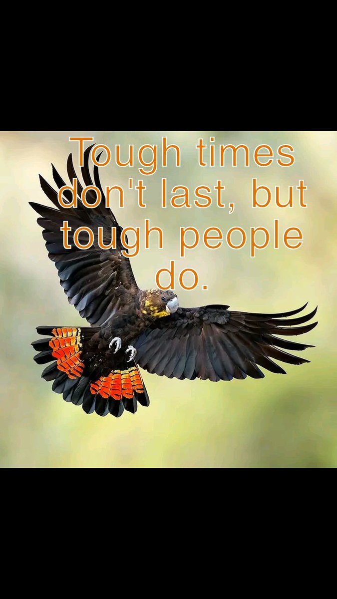 Giving up should never be part of the options 👍