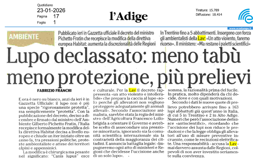 È ufficiale: altro tassello del Governo per aprire la caccia al lupo, con il Decreto firmato da <a href="/GPichetto/">Gilberto Pichetto</a> <a href="/MASE_IT/">Ministero Ambiente e Sicurezza Energetica</a>! Un atto violento e intollerabile che ignora la comunità scientifica e le richieste della popolazione. #LAV continuerà a proteggere ogni singolo lupo!👇