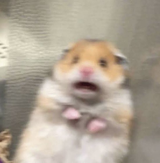 น้องน้ำใส พี่ขอโทษ แต่ว่า 555555555555555555555555555555555555555555555555555555555

#ราคีTHESTAIN
#srchafreen