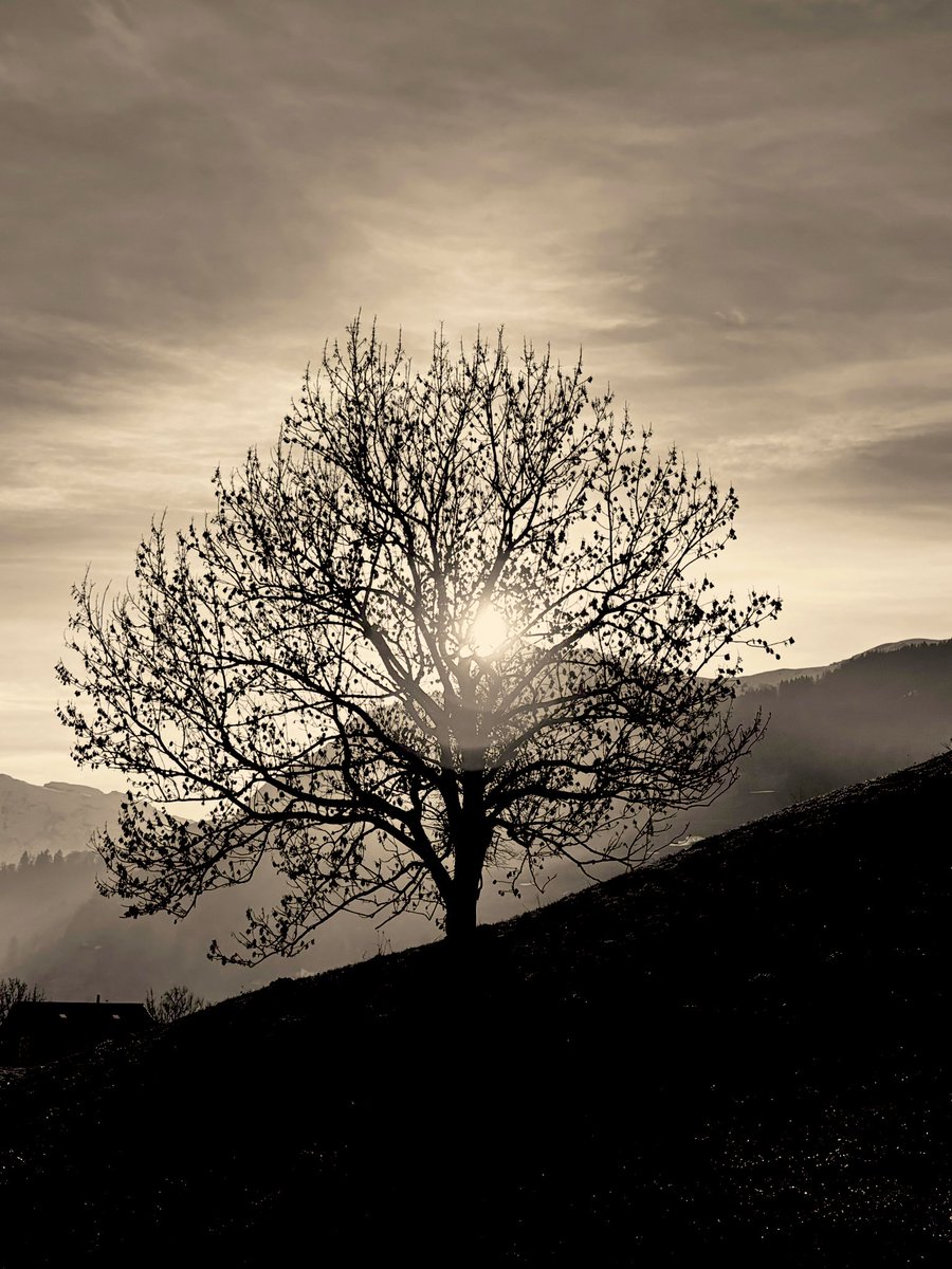 🕊️Harmonie (@stein5864) on Twitter photo 