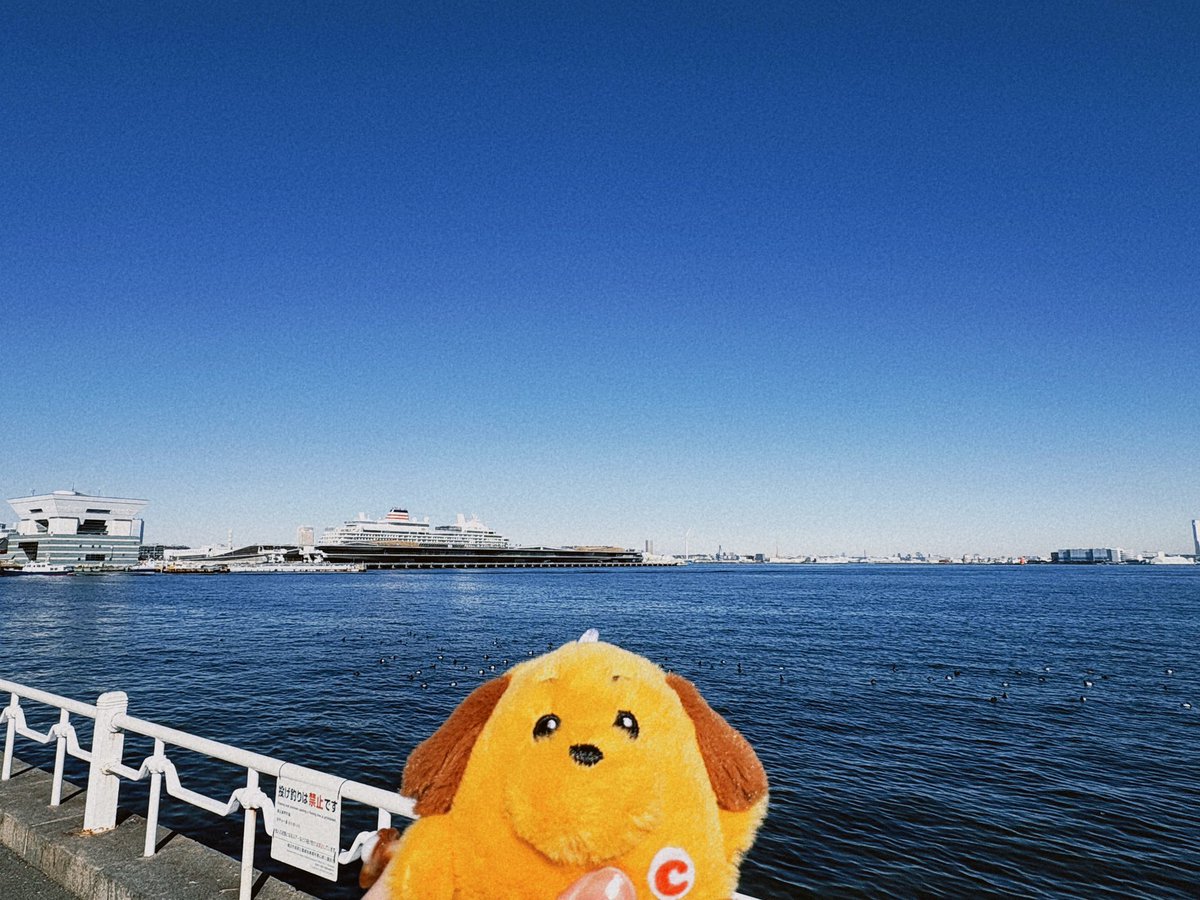 namiki (@mina37mina03) / Posts / X